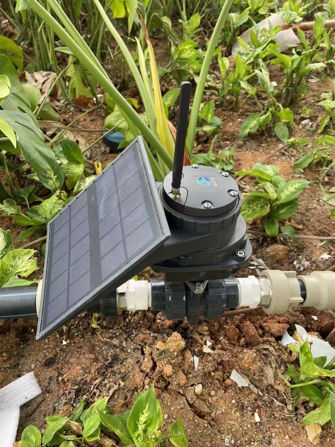 IoT/LoRa/4G Based Smart Solar Garden Irrigation System