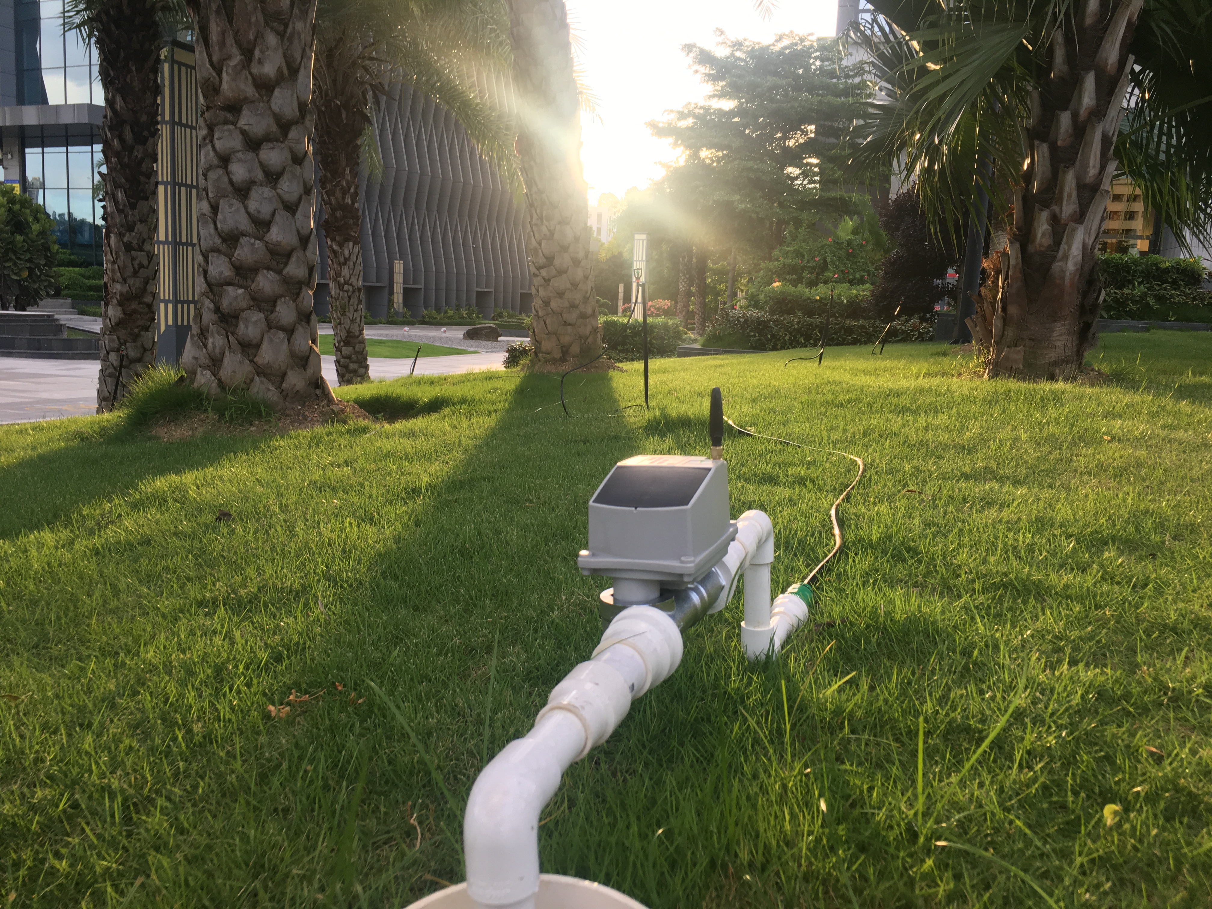GSM/LoRa Solar Remote Control Sprinkler Irrigation System for Cannabis Plantation